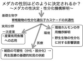 OutPut